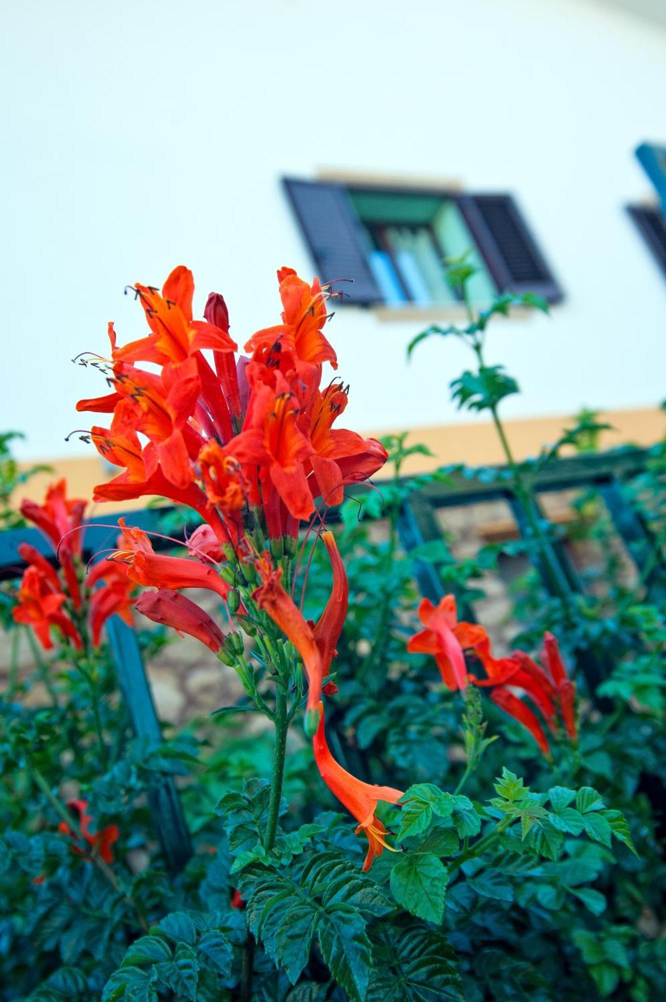 Casale La Zagara Aparthotel Sciacca Εξωτερικό φωτογραφία