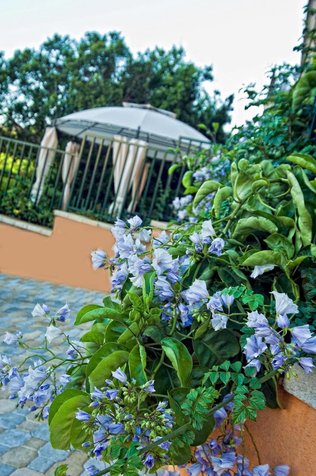 Casale La Zagara Aparthotel Sciacca Εξωτερικό φωτογραφία